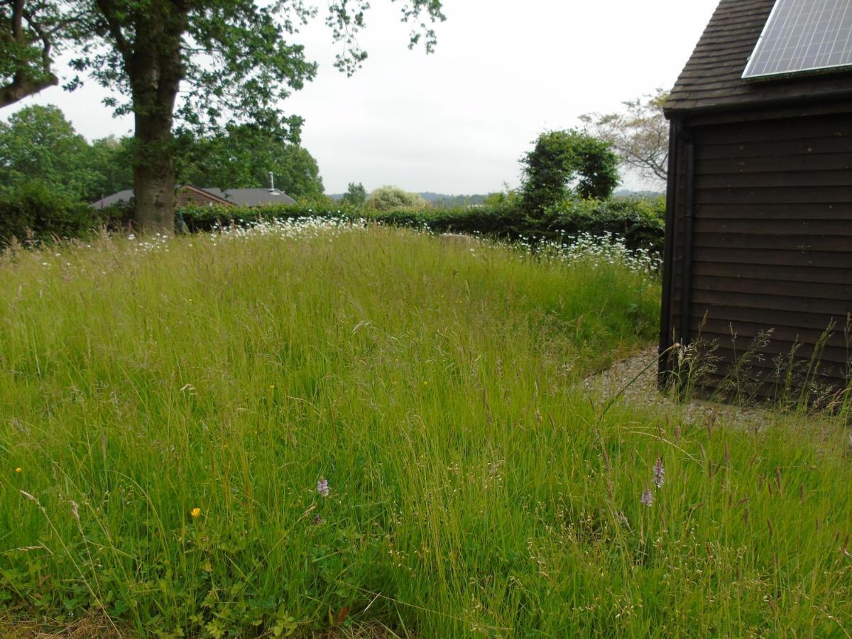 Bond'S Cottage Barn Royal Tunbridge Wells Exterior foto